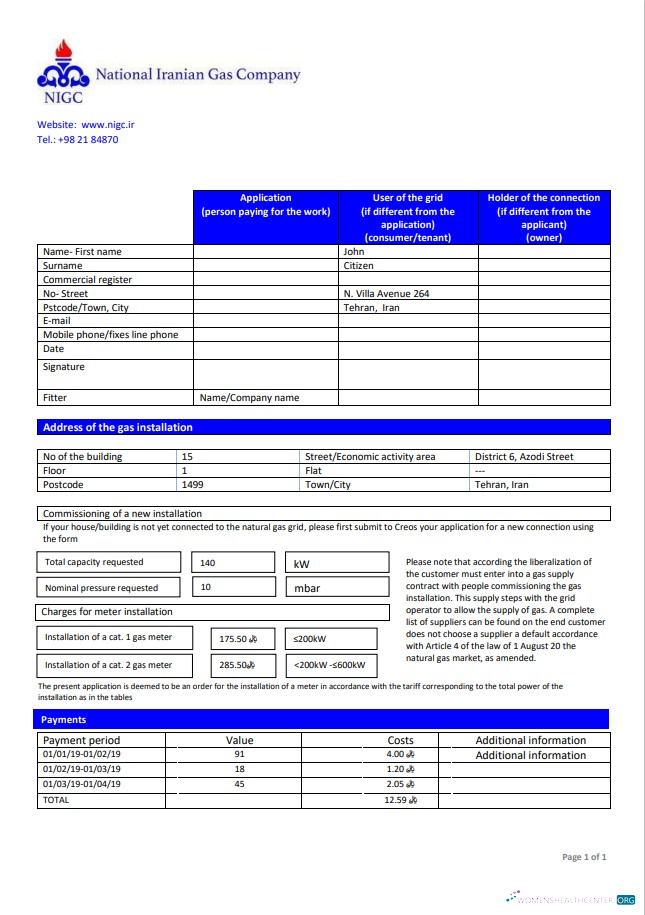 download download Iran National Iranian Gas Company gas utility bill